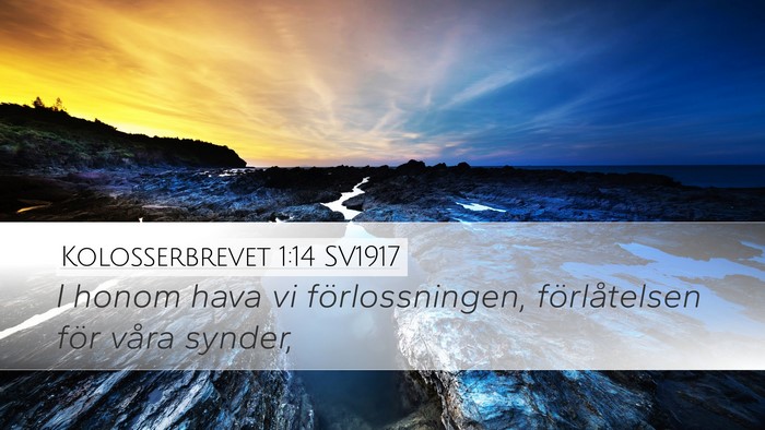 Kolosserbrevet 1:14 SV1917 Bible Verse Image