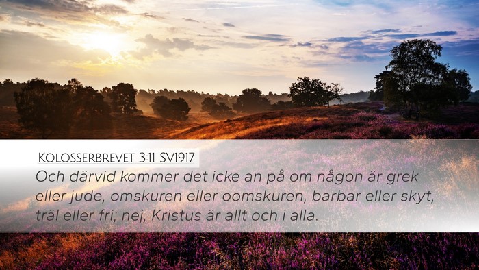 Kolosserbrevet 3:11 SV1917 Bible Verse Image