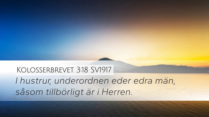 Kolosserbrevet 3:18 SV1917 Bible Verse Image