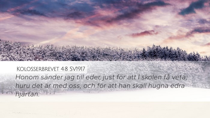Kolosserbrevet 4:8 SV1917 Bible Verse Image