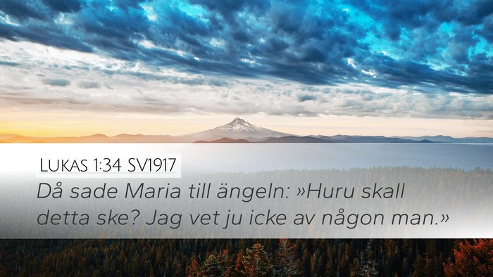 Lukas 1:34 SV1917 Bible Verse Image