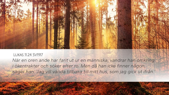 Lukas 11:24 SV1917 Bible Verse Image