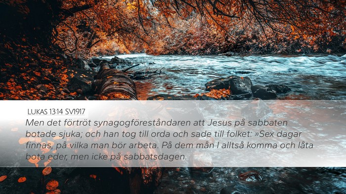 Lukas 13:14 SV1917 Bible Verse Image
