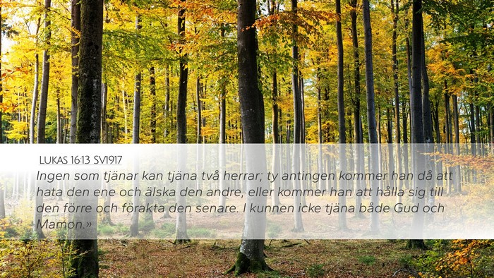 Lukas 16:13 SV1917 Bible Verse Image