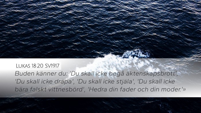 Lukas 18:20 SV1917 Bible Verse Image