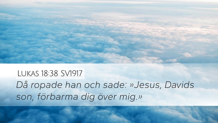 Lukas 18:38 SV1917 Bible Verse Image
