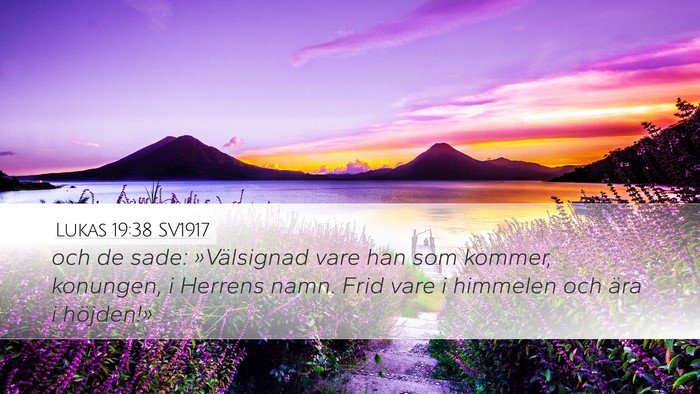 Lukas 19:38 SV1917 Bible Verse Image