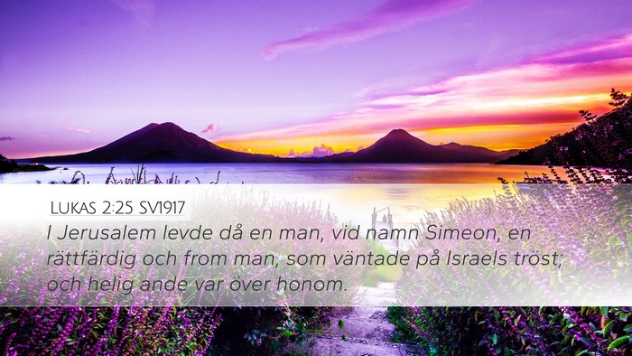 Lukas 2:25 SV1917 Bible Verse Image