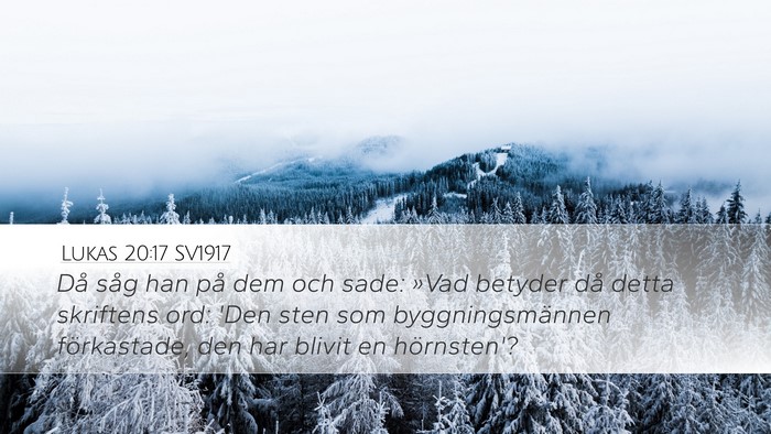 Lukas 20:17 SV1917 Bible Verse Image
