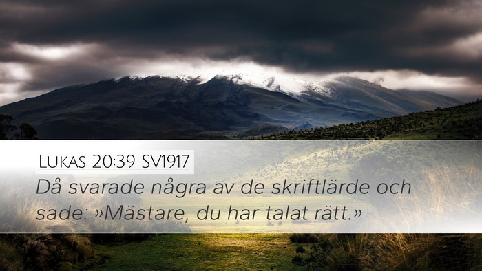 Lukas 20:39 SV1917 Bible Verse Image