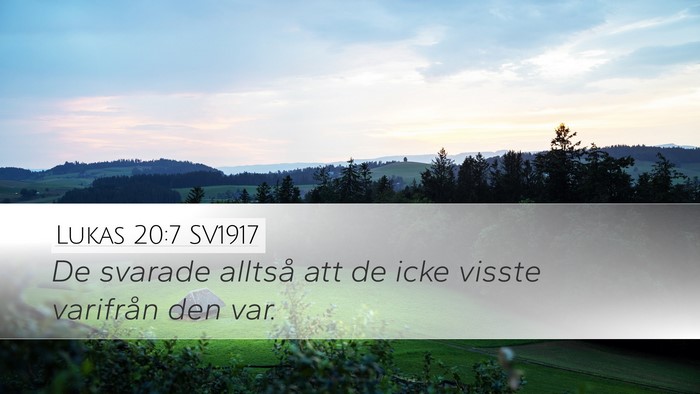 Lukas 20:7 SV1917 Bible Verse Image