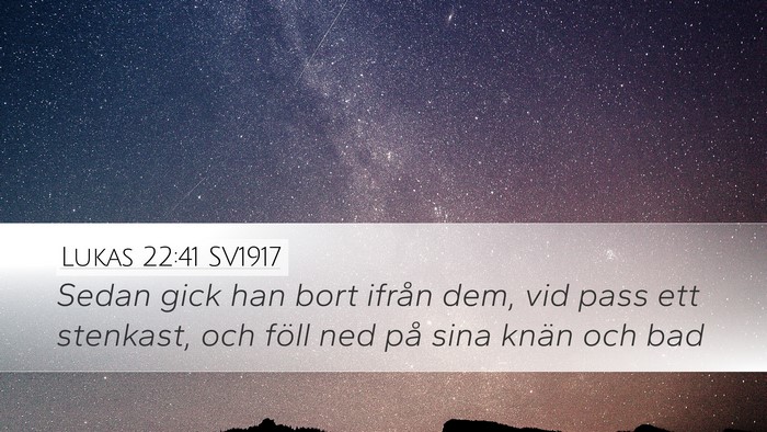 Lukas 22:41 SV1917 Desktop Wallpaper - Sedan gick han bort ifrån dem, vid pass ett - Desktop Bible Verse Wallpaper