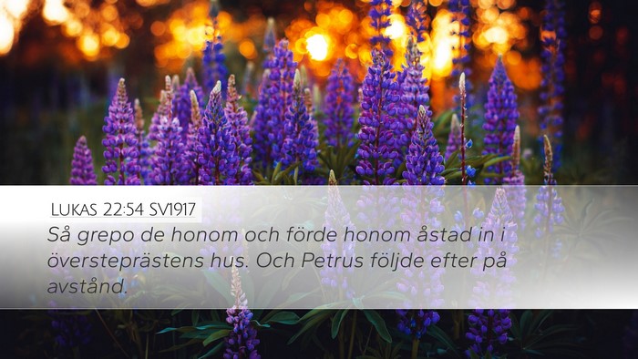 Lukas 22:54 SV1917 Bible Verse Image