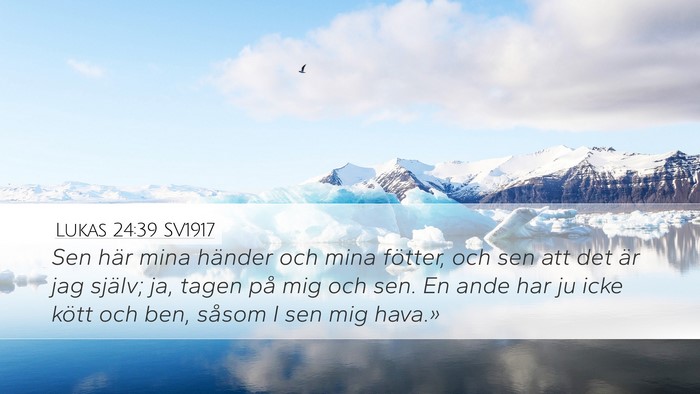 Lukas 24:39 SV1917 Bible Verse Image
