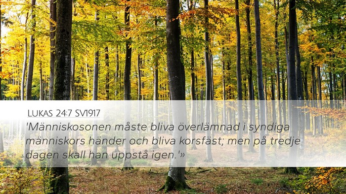 Lukas 24:7 SV1917 Bible Verse Image