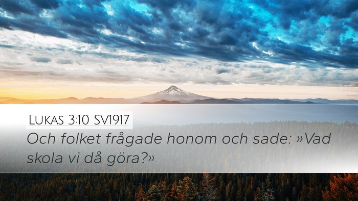 Lukas 3:10 SV1917 Bible Verse Image