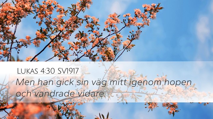 Lukas 4:30 SV1917 Desktop Wallpaper - Men han gick sin väg mitt igenom hopen och - Desktop Bible Verse Wallpaper