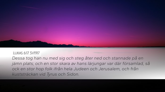 Lukas 6:17 SV1917 Bible Verse Image