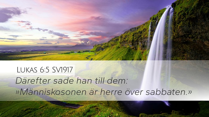 Lukas 6:5 SV1917 Bible Verse Image