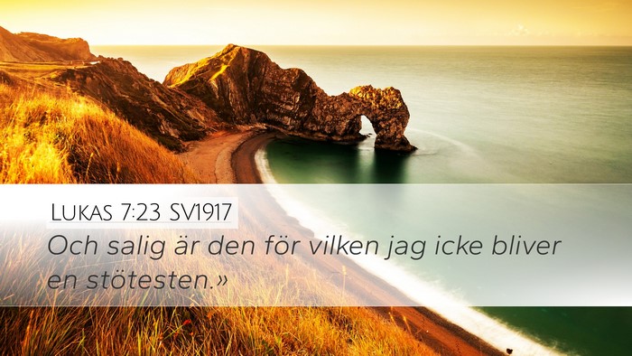 Lukas 7:23 SV1917 Bible Verse Image