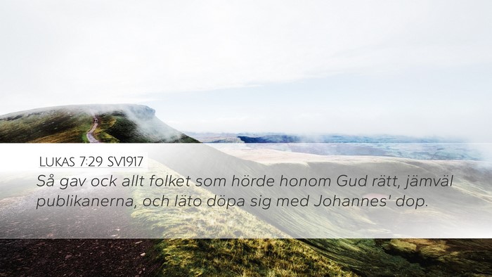Lukas 7:29 SV1917 Bible Verse Image