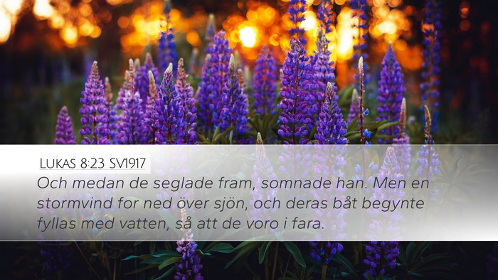 Lukas 8:23 SV1917 Bible Verse Image