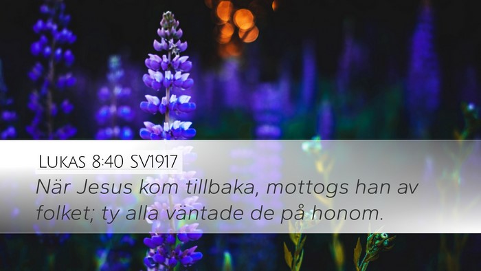 Lukas 8:40 SV1917 Bible Verse Image