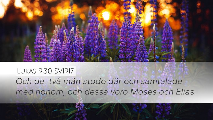 Lukas 9:30 SV1917 Bible Verse Image