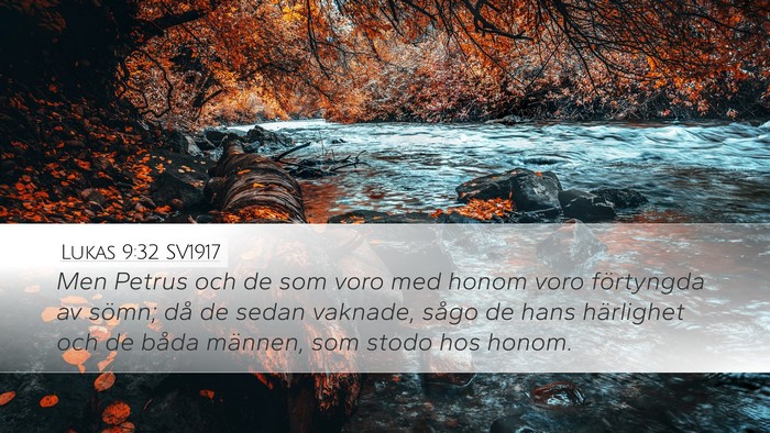 Lukas 9:32 SV1917 Bible Verse Image