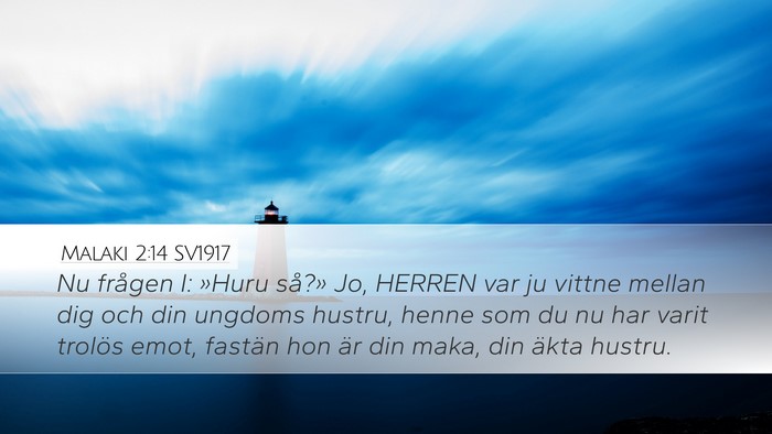 Malaki 2:14 SV1917 Bible Verse Image