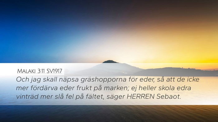 Malaki 3:11 SV1917 Desktop Wallpaper - Och jag skall näpsa gräshopporna för eder, så - Desktop Bible Verse Wallpaper