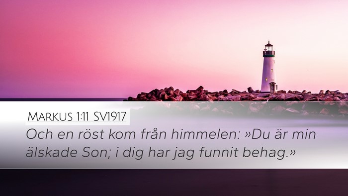 Markus 1:11 SV1917 Bible Verse Image