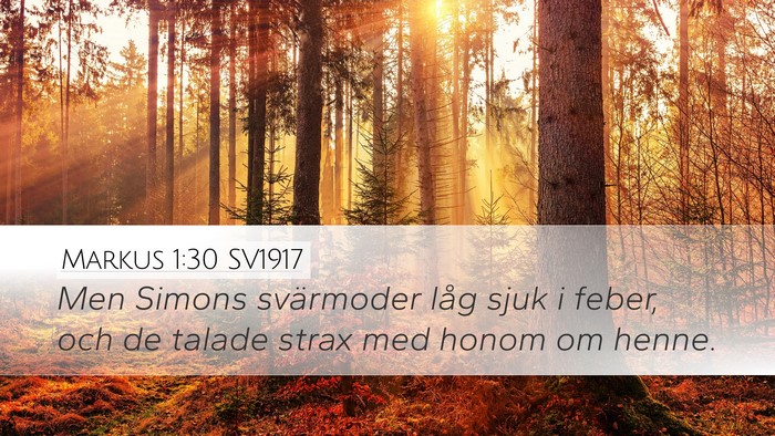 Markus 1:30 SV1917 Desktop Wallpaper - Men Simons svärmoder låg sjuk i feber, och de - Desktop Bible Verse Wallpaper