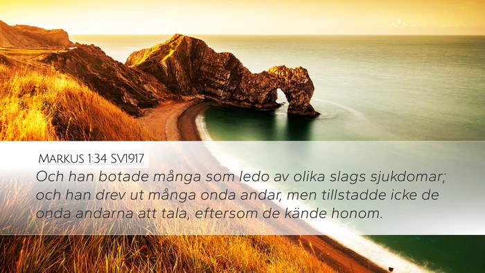 Markus 1:34 SV1917 Bible Verse Image