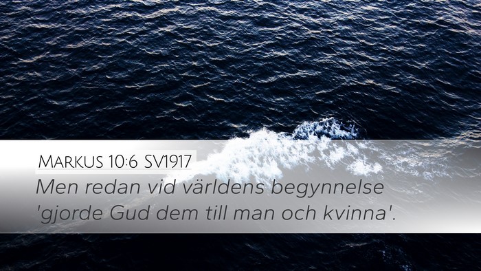 Markus 10:6 SV1917 Bible Verse Image