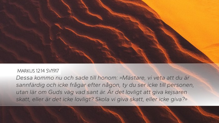Markus 12:14 SV1917 Bible Verse Image