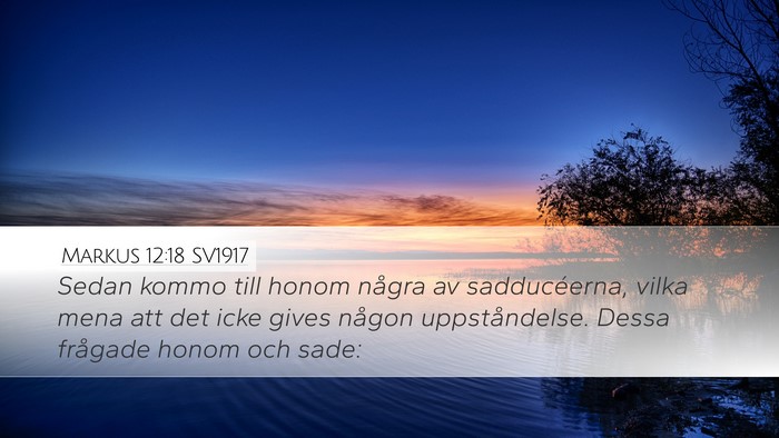 Markus 12:18 SV1917 Bible Verse Image