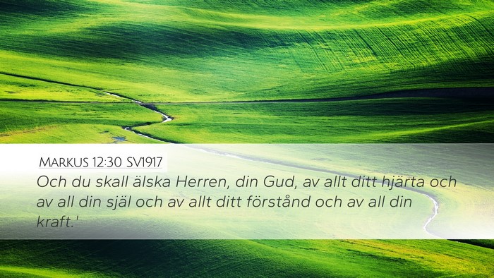 Markus 12:30 SV1917 Bible Verse Image