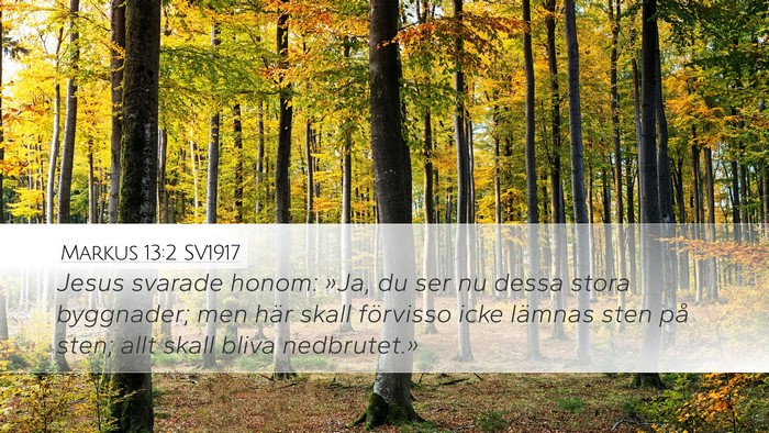 Markus 13:2 SV1917 Bible Verse Image