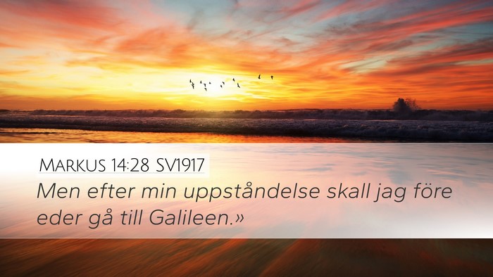Markus 14:28 SV1917 Bible Verse Image