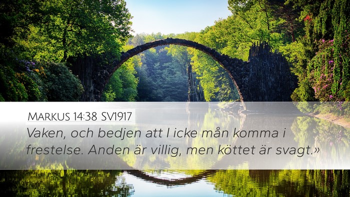 Markus 14:38 SV1917 Bible Verse Image
