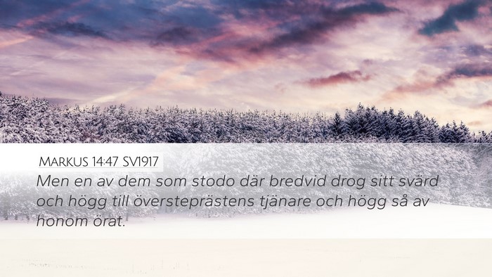 Markus 14:47 SV1917 Bible Verse Image