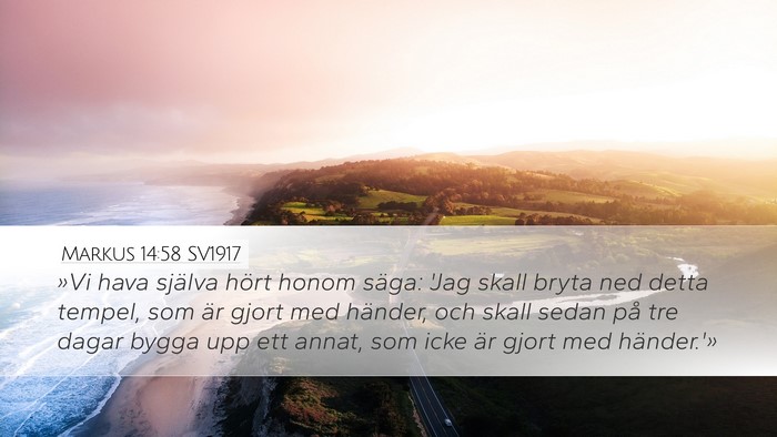Markus 14:58 SV1917 Bible Verse Image