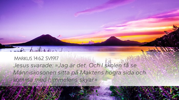 Markus 14:62 SV1917 Bible Verse Image