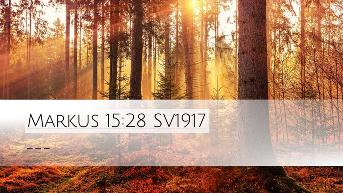Markus 15:28 SV1917 Desktop Wallpaper -  - Desktop Bible Verse Wallpaper