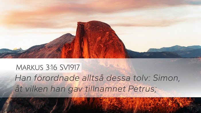 Markus 3:16 SV1917 Bible Verse Image