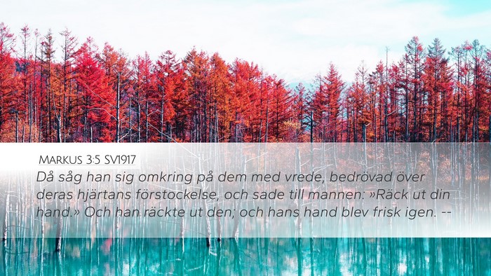 Markus 3:5 SV1917 Desktop Wallpaper - Då såg han sig omkring på dem med vrede, - Desktop Bible Verse Wallpaper