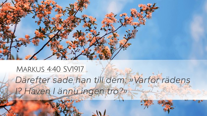 Markus 4:40 SV1917 Bible Verse Image