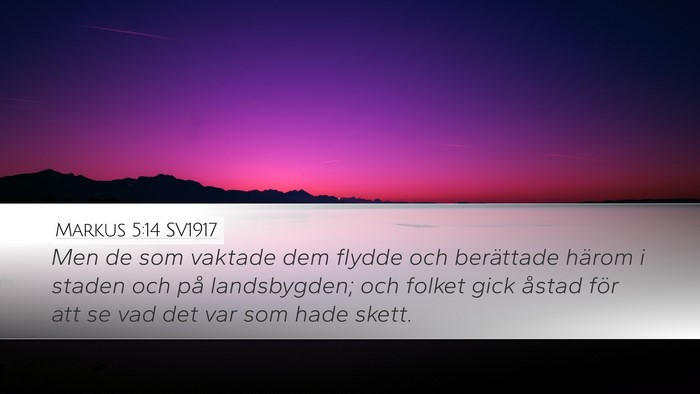 Markus 5:14 SV1917 Desktop Wallpaper - Men de som vaktade dem flydde och berättade - Desktop Bible Verse Wallpaper