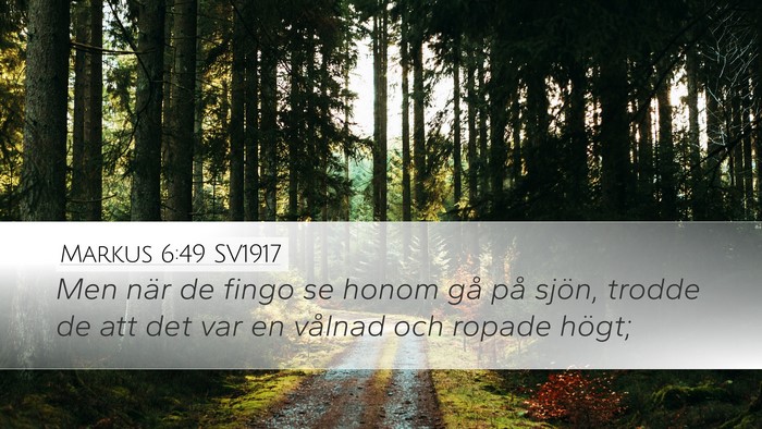 Markus 6:49 SV1917 Bible Verse Image